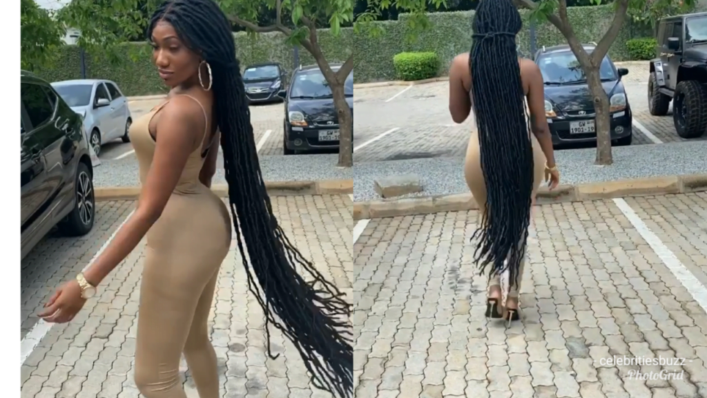 Wendy Shay now the woman with the longest hair in the world! – Buzzgh