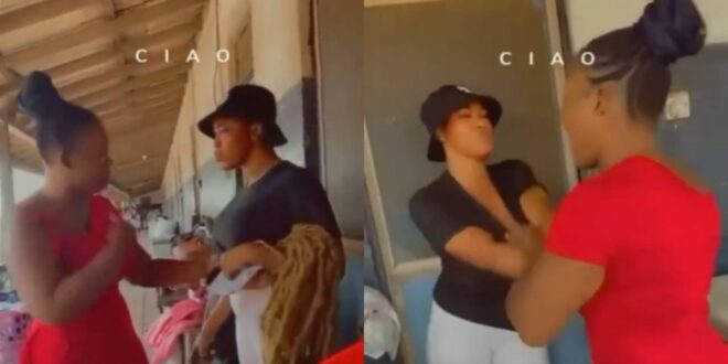 Two lady f!ghts in front of police station after one sold fake hair to the other (video) 1