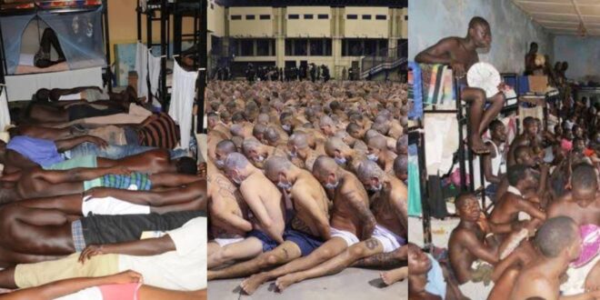 10 sad photos of the sufering prisoners go through 1
