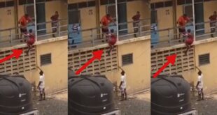 Watch video as lady sh0ckingly climbs boys hostel to meet her boyfriend 20